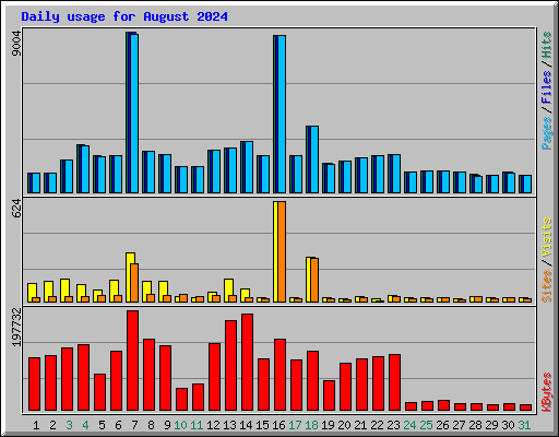 Daily usage for August 2024