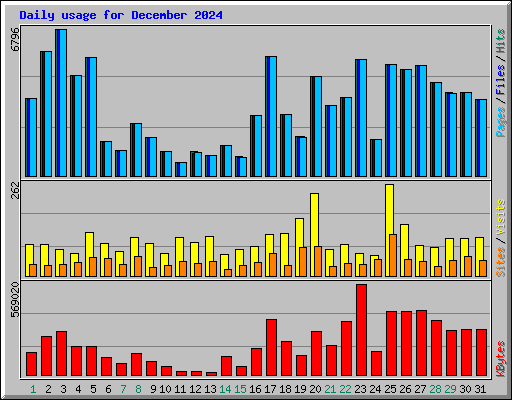 Daily usage for December 2024