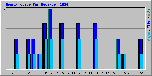 Hourly usage for December 2020