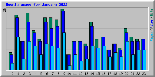 Hourly usage for January 2022