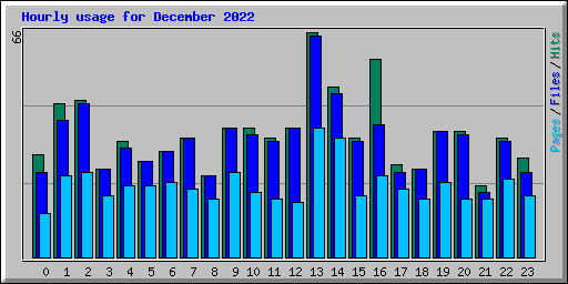 Hourly usage for December 2022