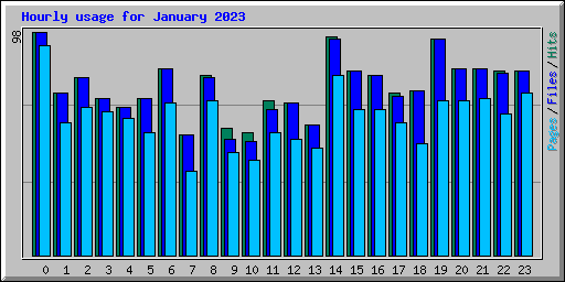 Hourly usage for January 2023