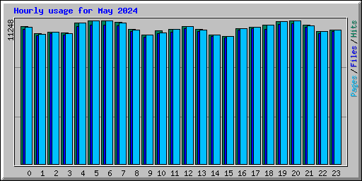 Hourly usage for May 2024