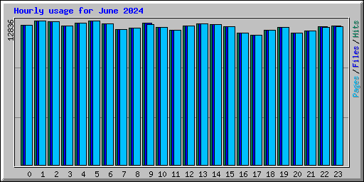 Hourly usage for June 2024