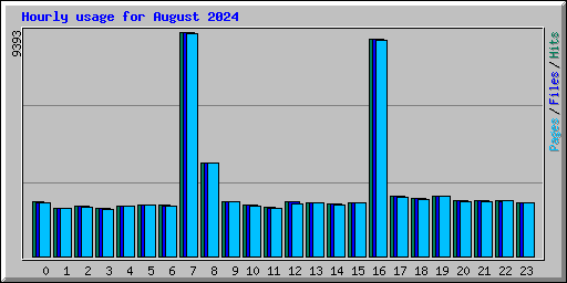 Hourly usage for August 2024