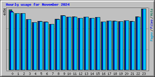 Hourly usage for November 2024