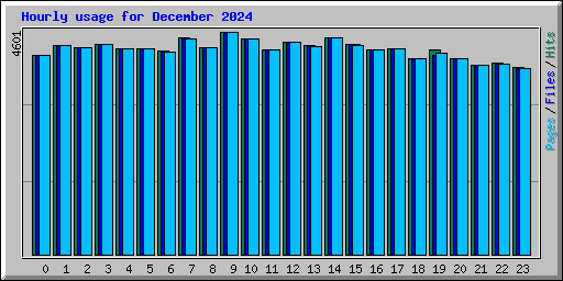 Hourly usage for December 2024