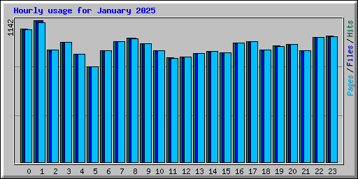 Hourly usage for January 2025