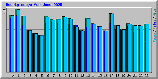 Hourly usage for June 2025