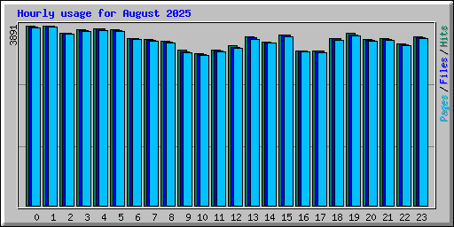 Hourly usage for August 2025