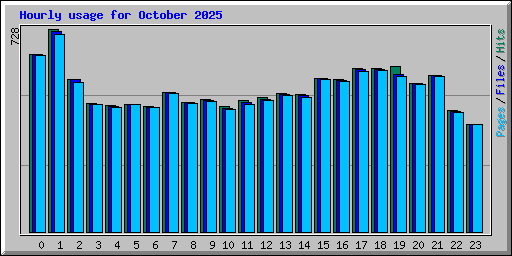 Hourly usage for October 2025