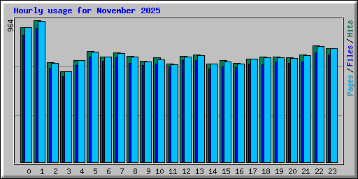 Hourly usage for November 2025