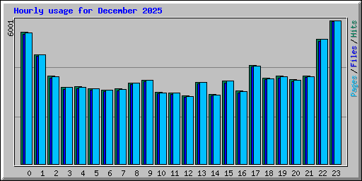 Hourly usage for December 2025